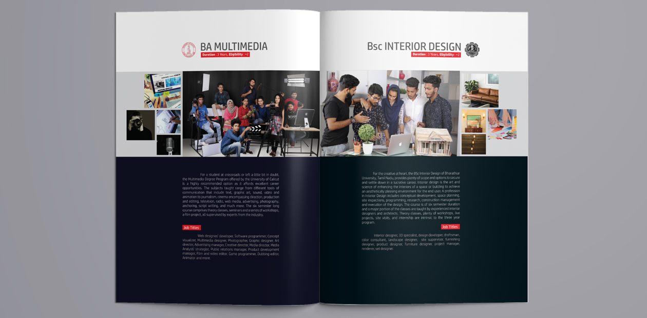 brochure layout designer